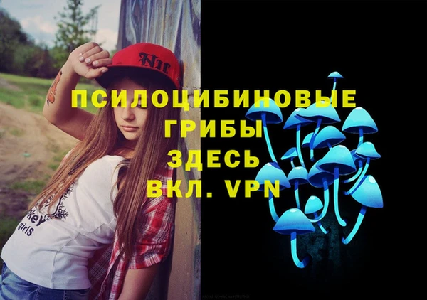 амф Алексеевка