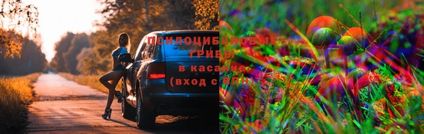 кокс Алексин