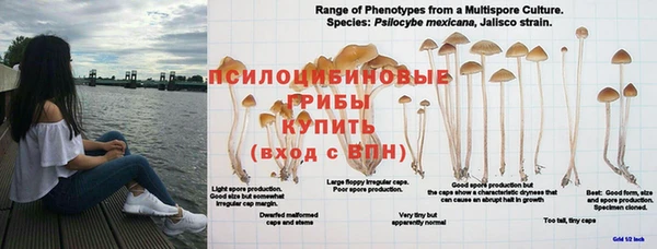 амф Алексеевка